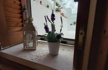 Granny's Home ,mini villa for 4 - Foto 28