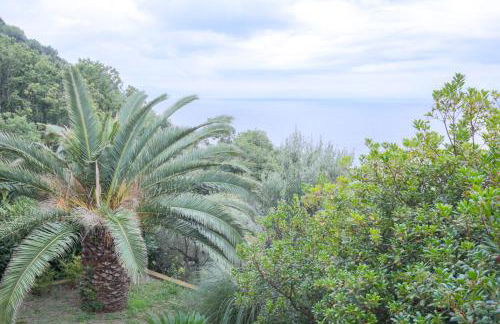 Villa Giò - Terrazza nel Blu - Foto 23