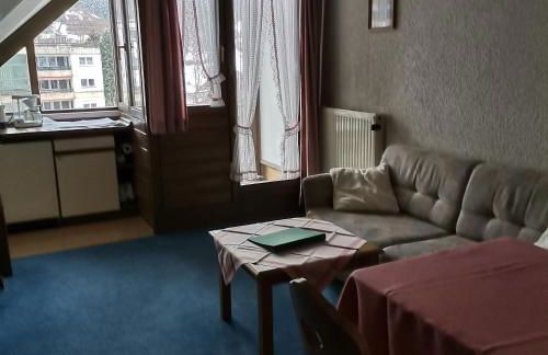 Ferienwohnungen Kupferkanne - Foto 31