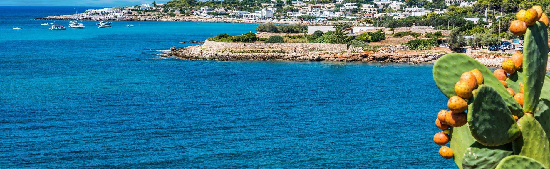 Santa Maria di Leuca Boat Trip - Foto 1