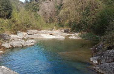 SANTA-LUCIA - Foto 14