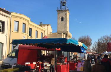 The Willow Tree - Photo 30