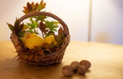 Valle Paraizo - Foto 26