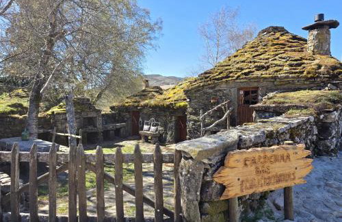 Cardenha das Formiguinhas - Foto 1