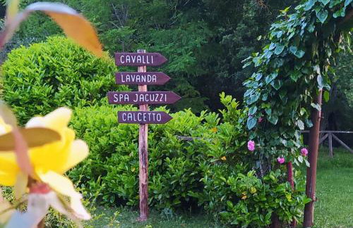 Agriturismo Podere Poggiarone - Foto 28