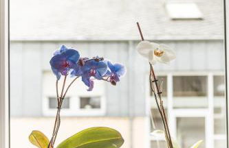 Sam & Karo Boutique Apartment - Foto 36