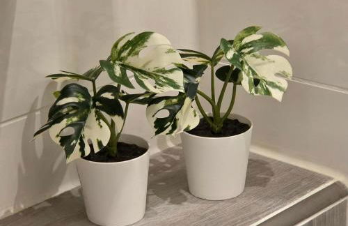 Seaside Dream White Line - Foto 8