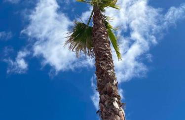 Castellane : T2 spacieux - Vue Port - WIFI - Foto 79