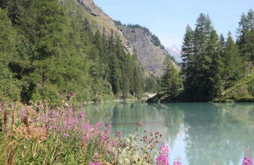 Chalet Pomme de Pin - Foto 27