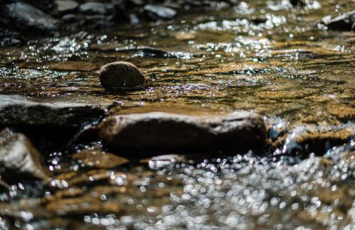 Dom Malowany - Domki - Foto 54