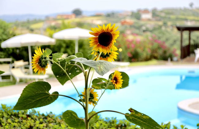 Agriturismo Villa Fiore - Foto 47