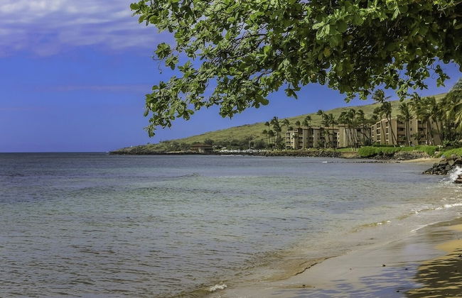 Maalaea Banyans 217 1 Bedroom Condo - Foto 33