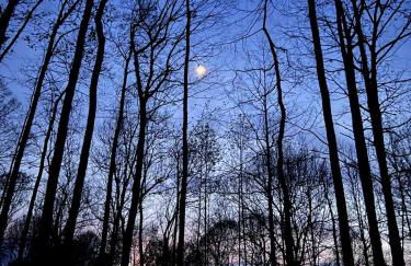 Turkey Creek Cabin Rentals #2 at Tims Ford lake - Foto 46