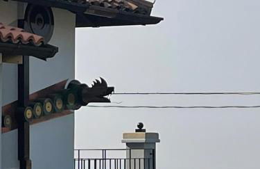 THE MONTEVECCHIA HOME - FRIDA APARTMENT - Foto 12