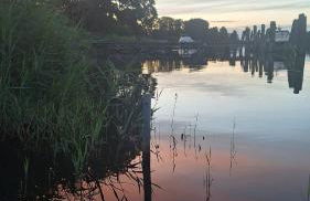 Ferienhaus - Wohnung- Havelblick - Photo 39