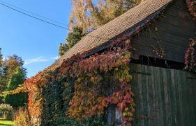 Przy Strumyku - Apartament w Górach Izerskich - Photo 23