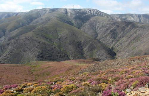 A Avozinha - Arouca - Foto 70