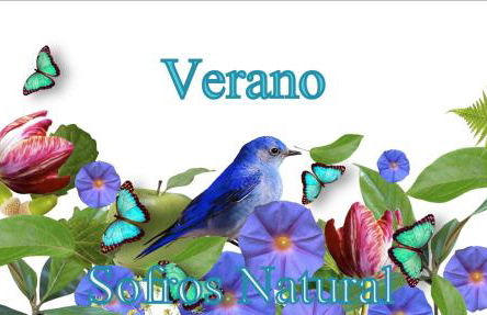 Slow House y La cabaña de Miss Slower - Foto 3