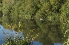 Little Vine Cottage in the grounds of Leeds Castle - Foto 31
