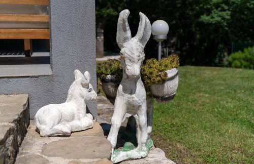 Apartments Srdanovic - Photo 57