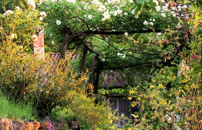 La Traversina - Agriturismo di Charme - Foto 41