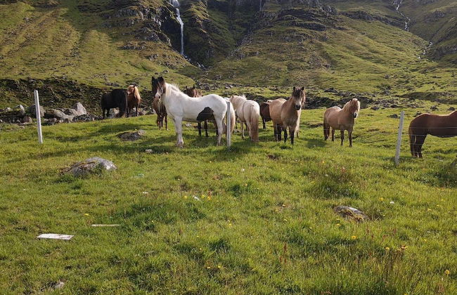 Kirkjufell View Cottages - Foto 13