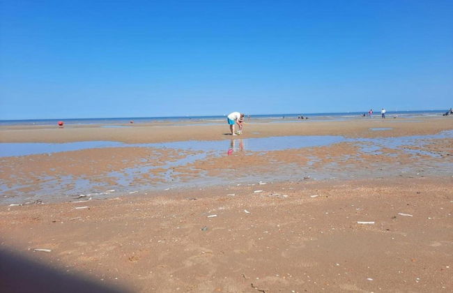 Apartment in St-idesbald With Sea View - Photo 39