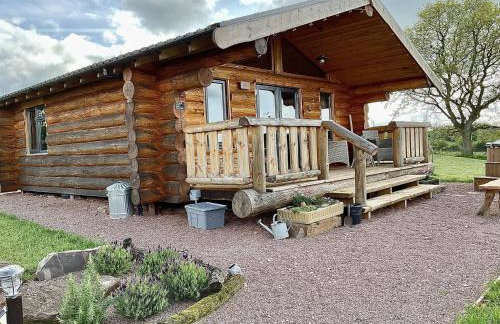 Rowan - Tedstone Log Cabins - Foto 1