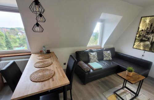 Apartament Pod Radiostacją -Gliwice Tarnogórska, parking free, klimatyzacja - Foto 6