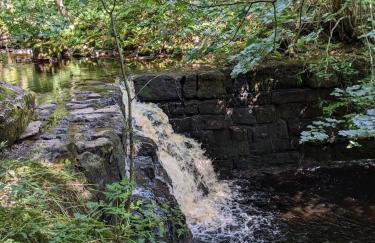 Brook Cottage Askrigg - Photo 55