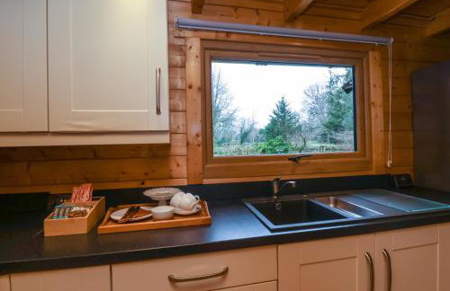 Woodpeckers - Photo 15