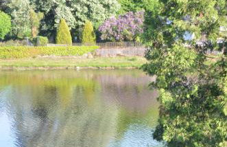 studio "Au Bord de l'Eau" 2 - Photo 4