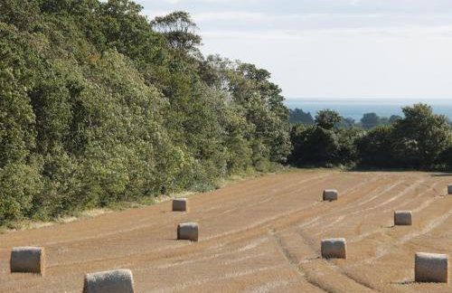 Manor House - Foto 40