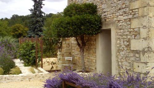 La Maison Tumtum Arbre - Foto 4, Garden