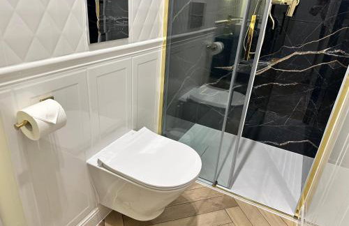 Apartamenty OFF PIOTRKOWSKA w Roosevelta Residence, Klimatyzacja, Wejście na KOD, WiFi, FV - Foto 62