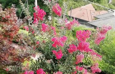 Villa Banfi - Foto 6