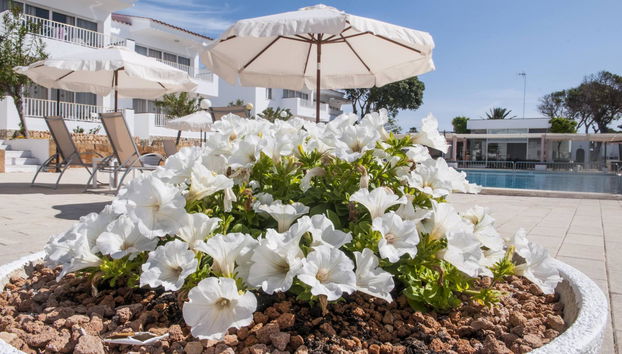 Naranjos Resort Menorca - Foto 2