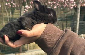 Agriturismo I Leprotti - Foto 3