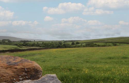 The Journeyman Luxury Shepherds Hut - Photo 23