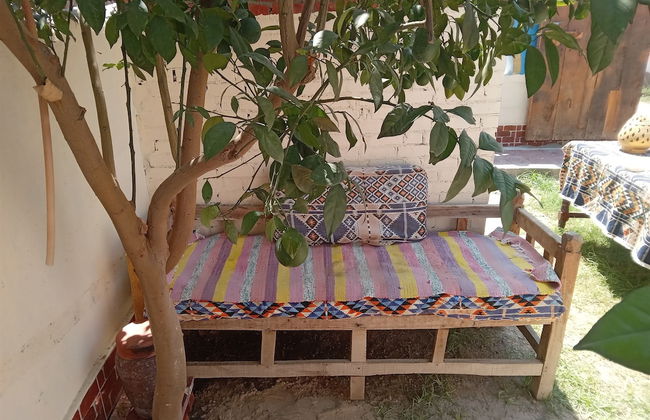 Green Palace Garden - Foto 29