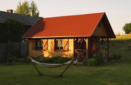 Oaza Marcinkowska - Foto 1