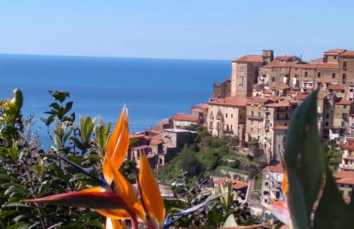 le case dei fiori - Foto 43