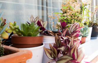 Your cozy downtown home - Apartment - Foto 32