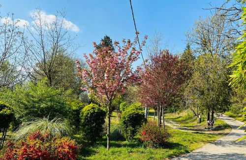 Cascina Tornara, ritorno alle origini monferrine - Foto 43