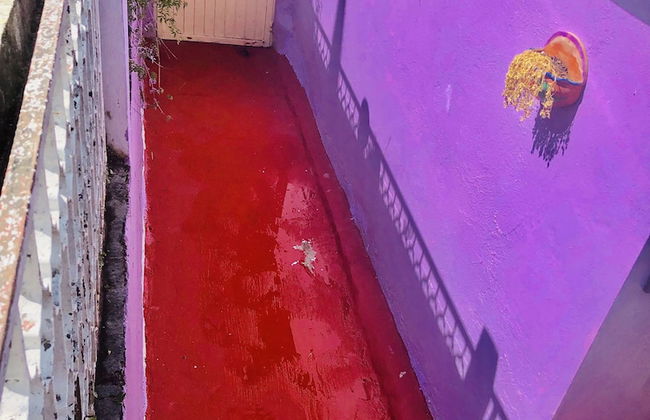 Cozy Big Bungalow Close To Downtown - Foto 7