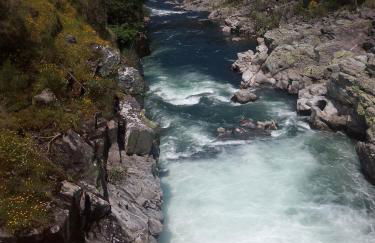 Bernardes House - Foto 63