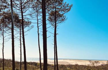 Bergerie sur Airial Landais - Foto 2