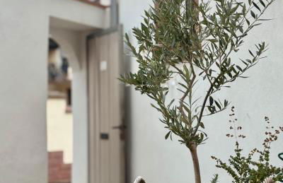 Das Winzereck - 4 Sterne Ferienhaus in der Südpfalz - Foto 27