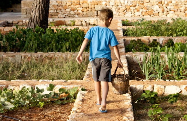 Masseria Gianferrante - Foto 46