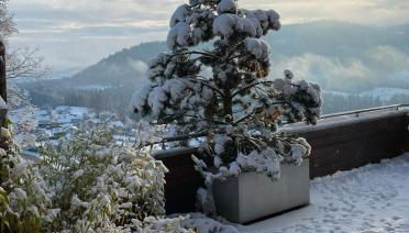 Chalet Villa Piscine vue panoramique sur Gérardmer et le Hohneck - Foto 5